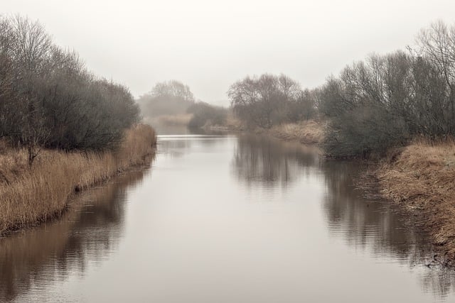 Free download riverbank fog flow river landscape free picture to be edited with GIMP free online image editor