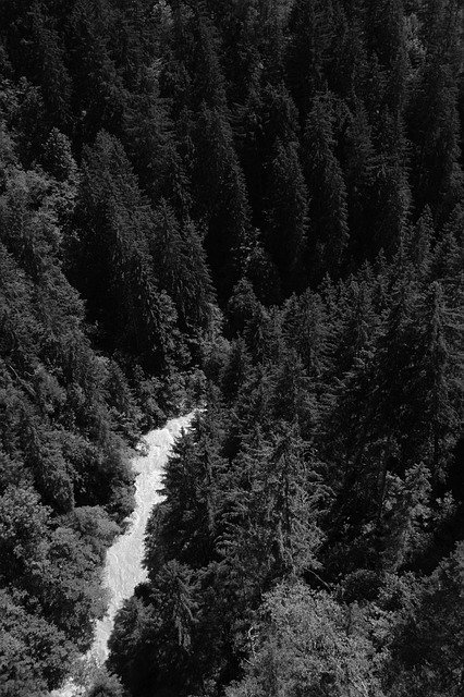 Descărcare gratuită River BirdS Eye View Water - fotografie sau imagini gratuite pentru a fi editate cu editorul de imagini online GIMP