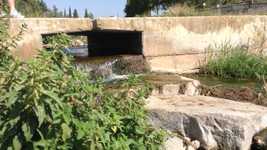 Free download River Bridge -  free video to be edited with OpenShot online video editor