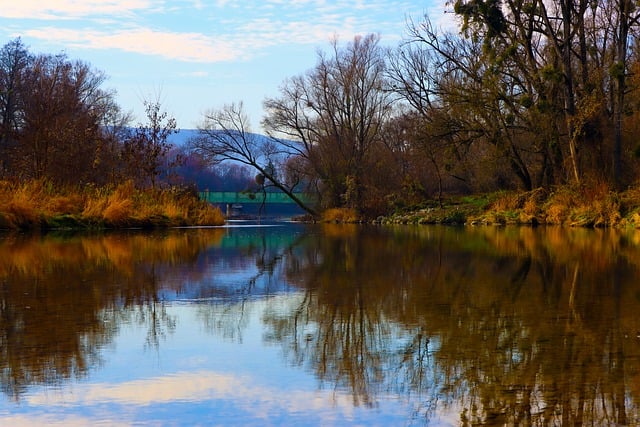 Free download river bridge water trees forest free picture to be edited with GIMP free online image editor