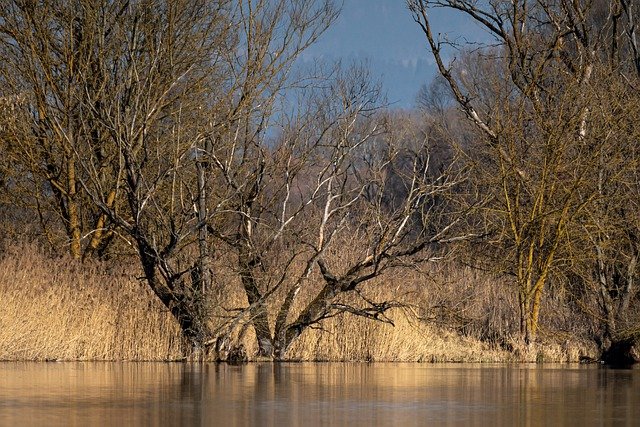 Free download river danube autumn danube river free picture to be edited with GIMP free online image editor