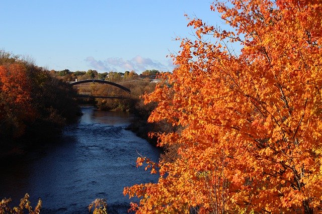 Free download River Fall Foliage -  free photo or picture to be edited with GIMP online image editor