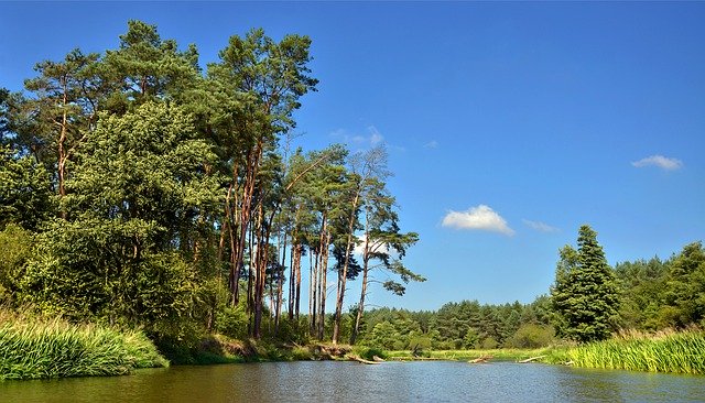 Téléchargement gratuit River Forest Clouds - photo ou image gratuite à éditer avec l'éditeur d'images en ligne GIMP