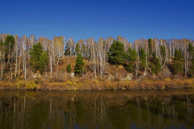 ดาวน์โหลดฟรี River Forest Nature - ภาพถ่ายหรือรูปภาพฟรีที่จะแก้ไขด้วยโปรแกรมแก้ไขรูปภาพออนไลน์ GIMP