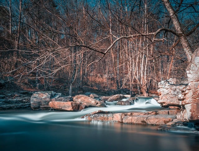 Free download river forest nature trees rapids free picture to be edited with GIMP free online image editor