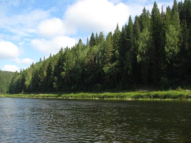 Free download River Forest Summer -  free photo or picture to be edited with GIMP online image editor