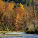 RIVER FOREST THEME  screen for extension Chrome web store in OffiDocs Chromium