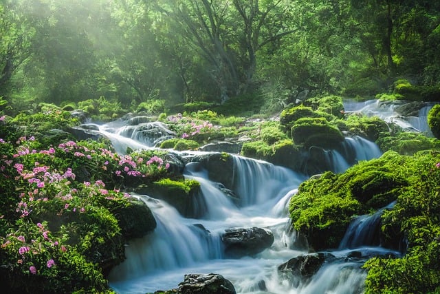 Free download river forest waterfall ai generated free picture to be edited with GIMP free online image editor
