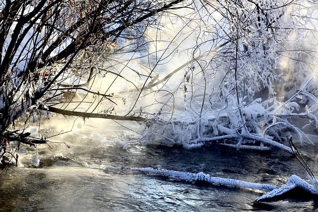 Free download river forest winter frozen river free picture to be edited with GIMP free online image editor