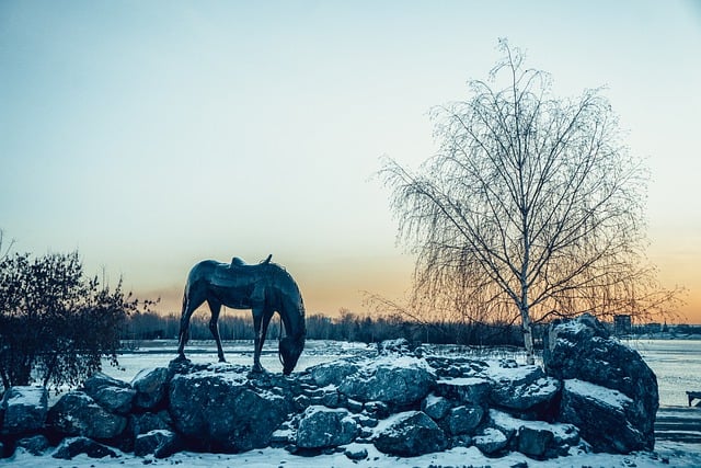 Free download river horse sunrise morning sun free picture to be edited with GIMP free online image editor