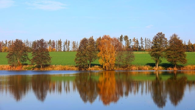 Descarga gratis río lago otoño otoño árboles imagen gratis para editar con GIMP editor de imágenes en línea gratuito