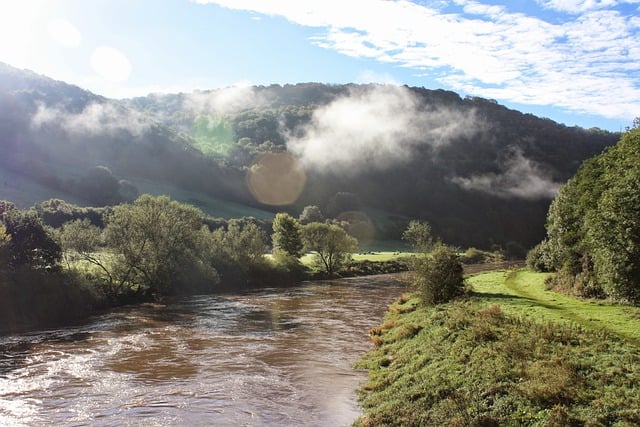 Free download river mist scenery rural riverbank free picture to be edited with GIMP free online image editor