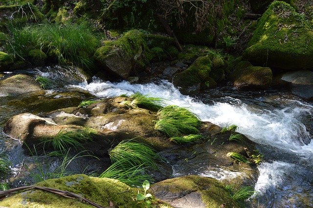 Kostenloser Download River Nature Brook - kostenloses Foto oder Bild zur Bearbeitung mit GIMP Online-Bildbearbeitung