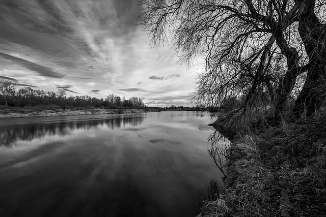 Descărcare gratuită râu natură peisaj pădure imagine gratuită pentru a fi editată cu editorul de imagini online gratuit GIMP