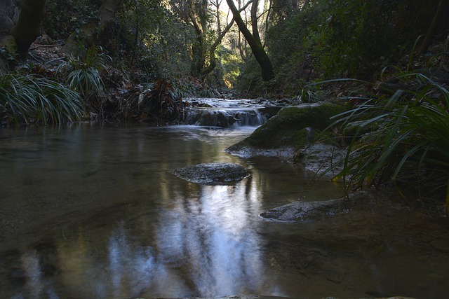 Free download river nature wilderness woods free picture to be edited with GIMP free online image editor