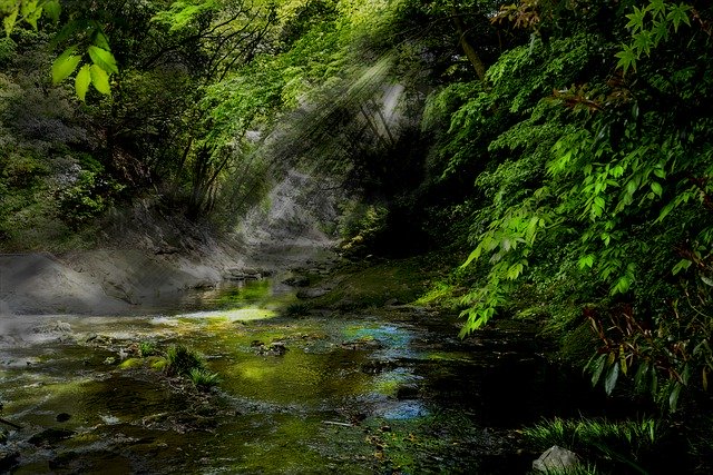 تنزيل River Ray Reflection - صورة مجانية أو صورة مجانية ليتم تحريرها باستخدام محرر الصور عبر الإنترنت GIMP