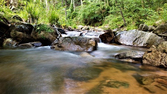 Free download River Riera Natural Park -  free photo or picture to be edited with GIMP online image editor