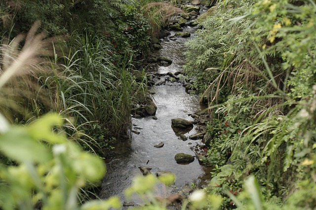 Free download river running water mountain spring free picture to be edited with GIMP free online image editor