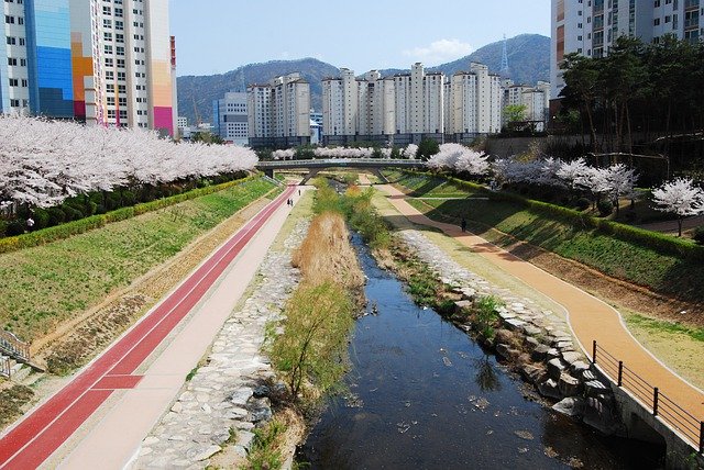 Scarica gratuitamente Rivers Keep Your City Busan: foto o immagine gratuita da modificare con l'editor di immagini online GIMP
