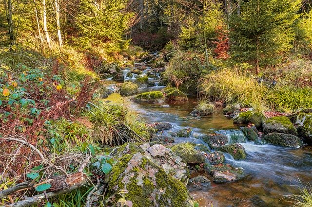 ดาวน์โหลดฟรี River Stones Water - ภาพถ่ายหรือรูปภาพฟรีที่จะแก้ไขด้วยโปรแกรมแก้ไขรูปภาพออนไลน์ GIMP