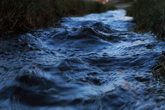 Free download river stream brook creek morning free picture to be edited with GIMP free online image editor
