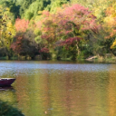 RIVER THEME  screen for extension Chrome web store in OffiDocs Chromium