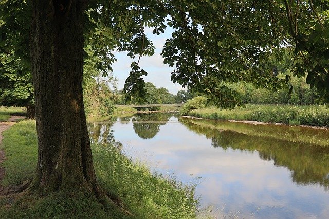 Descărcare gratuită River Tree Rest - fotografie sau imagine gratuită pentru a fi editată cu editorul de imagini online GIMP