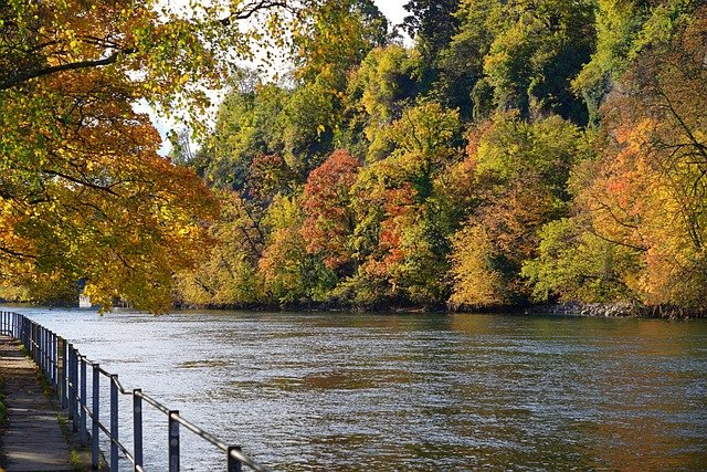 Free download river trees forest nature rhone free picture to be edited with GIMP free online image editor