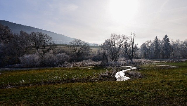 Template Photo River Trees Frost for OffiDocs