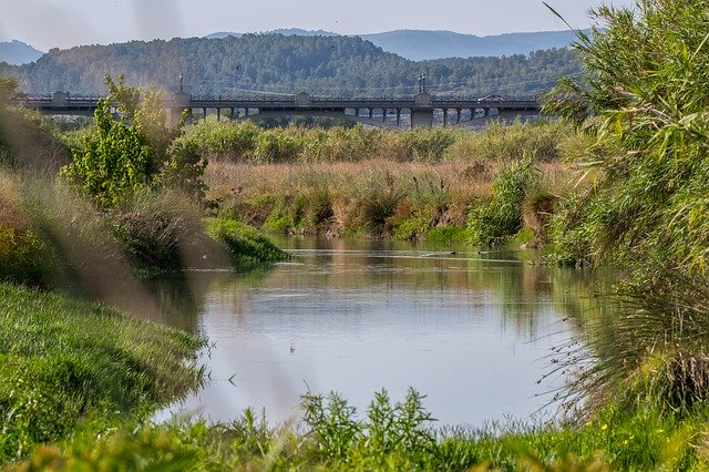 Descarga gratuita River Vegetation Nature: foto o imagen gratuita para editar con el editor de imágenes en línea GIMP