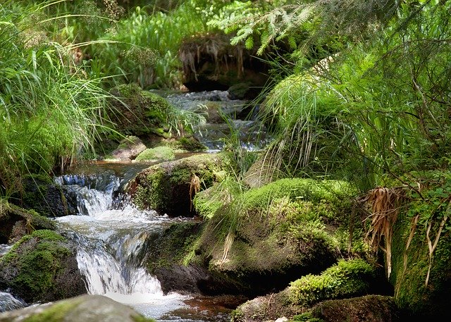 Free download River Waterfall Bach -  free photo or picture to be edited with GIMP online image editor