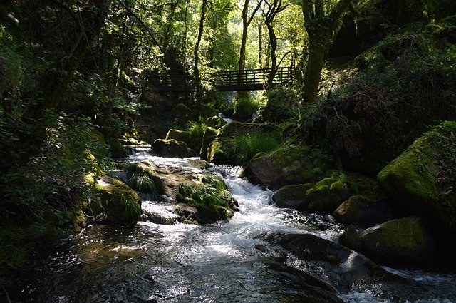 Free download River Waterfall Nature -  free photo or picture to be edited with GIMP online image editor