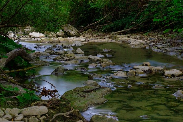 Gratis download River Water Forest - gratis foto of afbeelding om te bewerken met GIMP online afbeeldingseditor