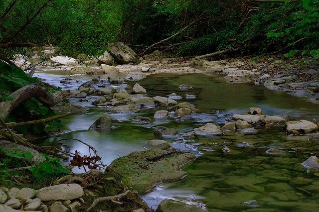 Скачать бесплатно River Water Forest - бесплатное фото или изображение для редактирования с помощью онлайн-редактора изображений GIMP