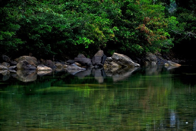 Scarica gratuitamente l'immagine gratuita dello scenario del campo naturale dell'acqua del fiume da modificare con l'editor di immagini online gratuito GIMP