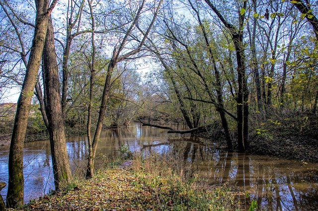 Download gratuito River Water Trees: foto o immagine gratuita da modificare con l'editor di immagini online GIMP