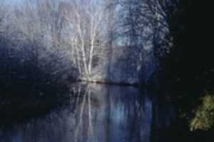 Free download River, Water, Trees, Forest free photo or picture to be edited with GIMP online image editor