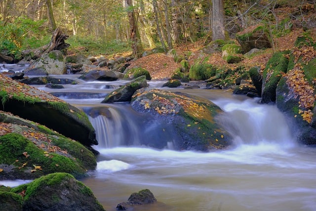 GIMP ücretsiz çevrimiçi resim düzenleyiciyle düzenlenecek ücretsiz indir nehir suyu su yolu akışı ücretsiz resmi
