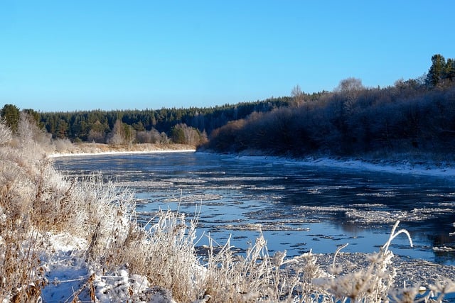 Free download river winter frost forest ice free picture to be edited with GIMP free online image editor