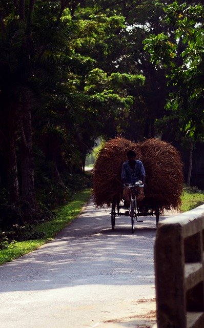 Bezpłatne pobieranie Road Bangladesh Mymensingh - bezpłatne zdjęcie lub obraz do edycji za pomocą internetowego edytora obrazów GIMP