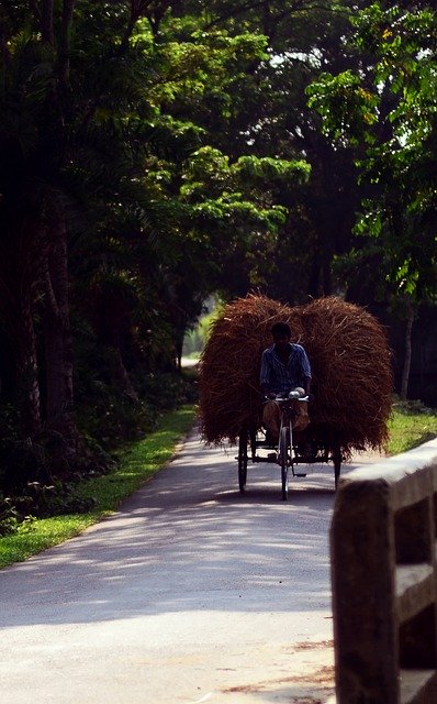 Descarga gratuita Road Bangladesh Mymensingh - foto o imagen gratuita para editar con el editor de imágenes en línea GIMP