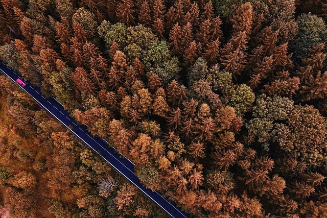 Descarga gratuita de imágenes gratuitas de montañas, árboles, automóviles de carretera, para editar con el editor de imágenes en línea gratuito GIMP
