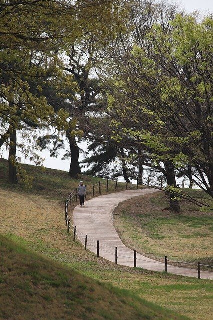 Descărcați gratuit șablonul foto gratuit Road Curve Forest pentru a fi editat cu editorul de imagini online GIMP