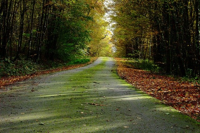 Download gratuito Road Fall Landscape - foto o immagine gratuita gratuita da modificare con l'editor di immagini online di GIMP