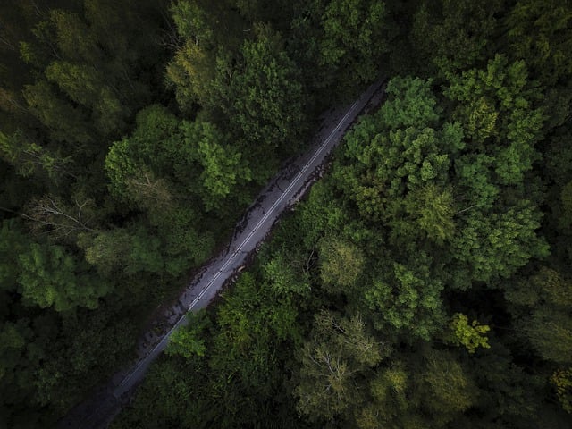 Free download road forest drone birdview dark free picture to be edited with GIMP free online image editor