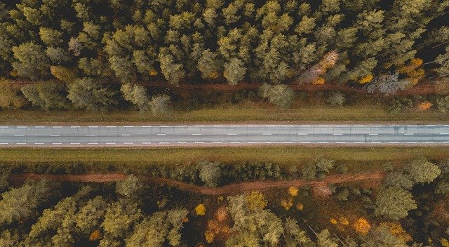 Muat turun percuma Road Forest Green - foto atau gambar percuma untuk diedit dengan editor imej dalam talian GIMP