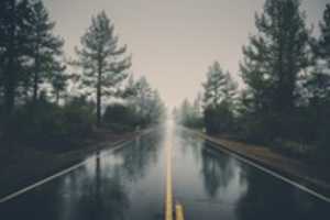 Free download road-landscape-nature-forest-39811 free photo or picture to be edited with GIMP online image editor