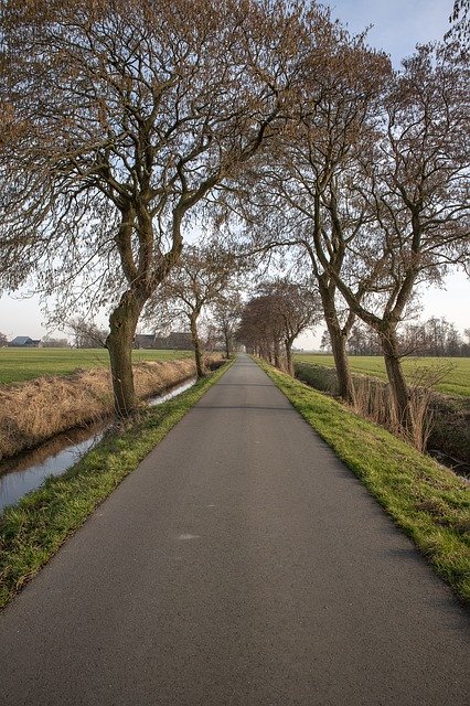 Free download Road Landscape Trees -  free photo or picture to be edited with GIMP online image editor