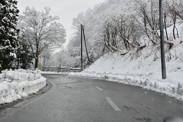 Téléchargement gratuit d'une image gratuite de la saison des bois de neige de montagne de route à modifier avec l'éditeur d'images en ligne gratuit GIMP