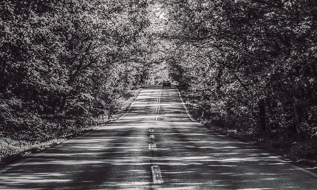 Descărcare gratuită Road Nature Trees - fotografie sau imagini gratuite pentru a fi editate cu editorul de imagini online GIMP